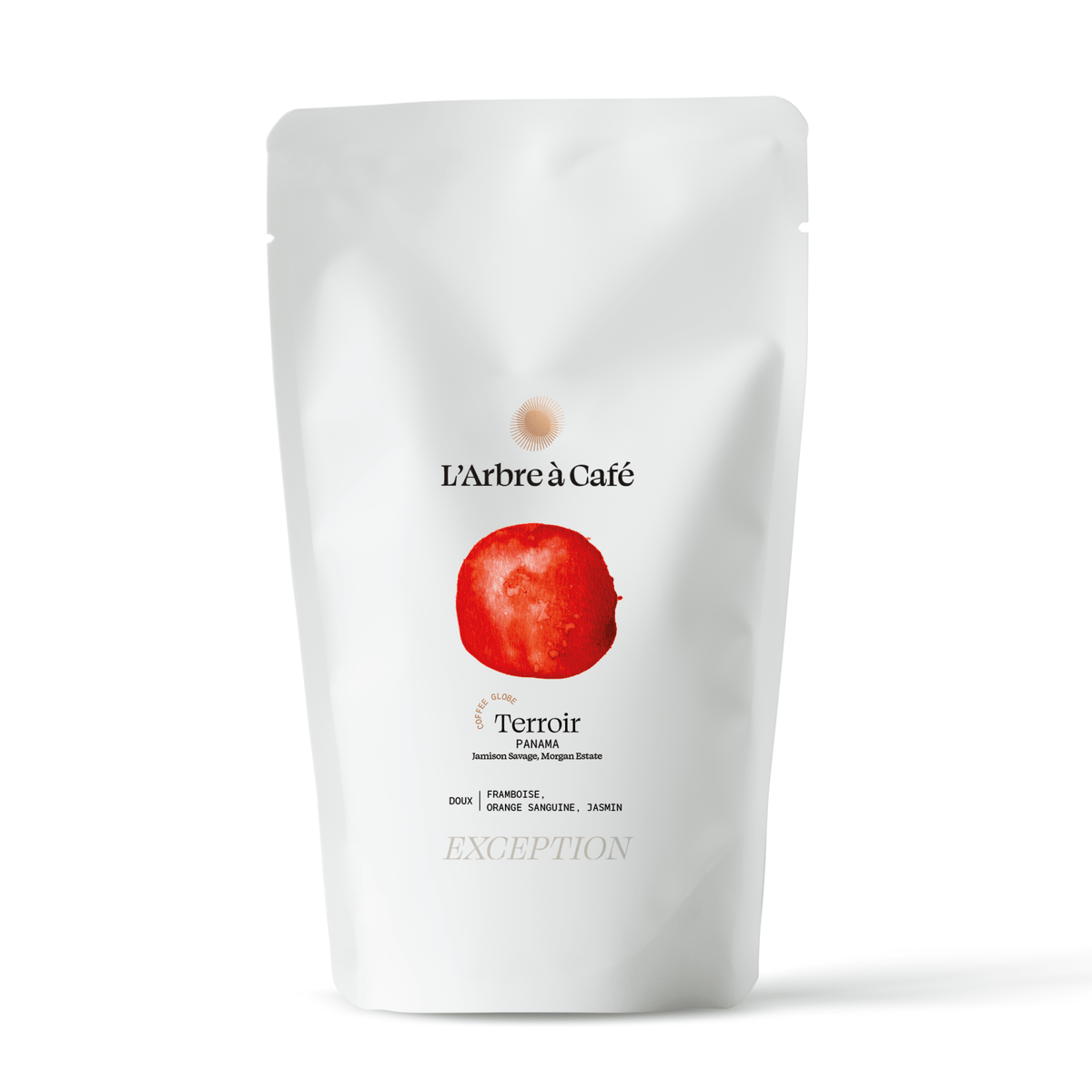 Terroir Coffee Globe - Café - L'Arbre à Café