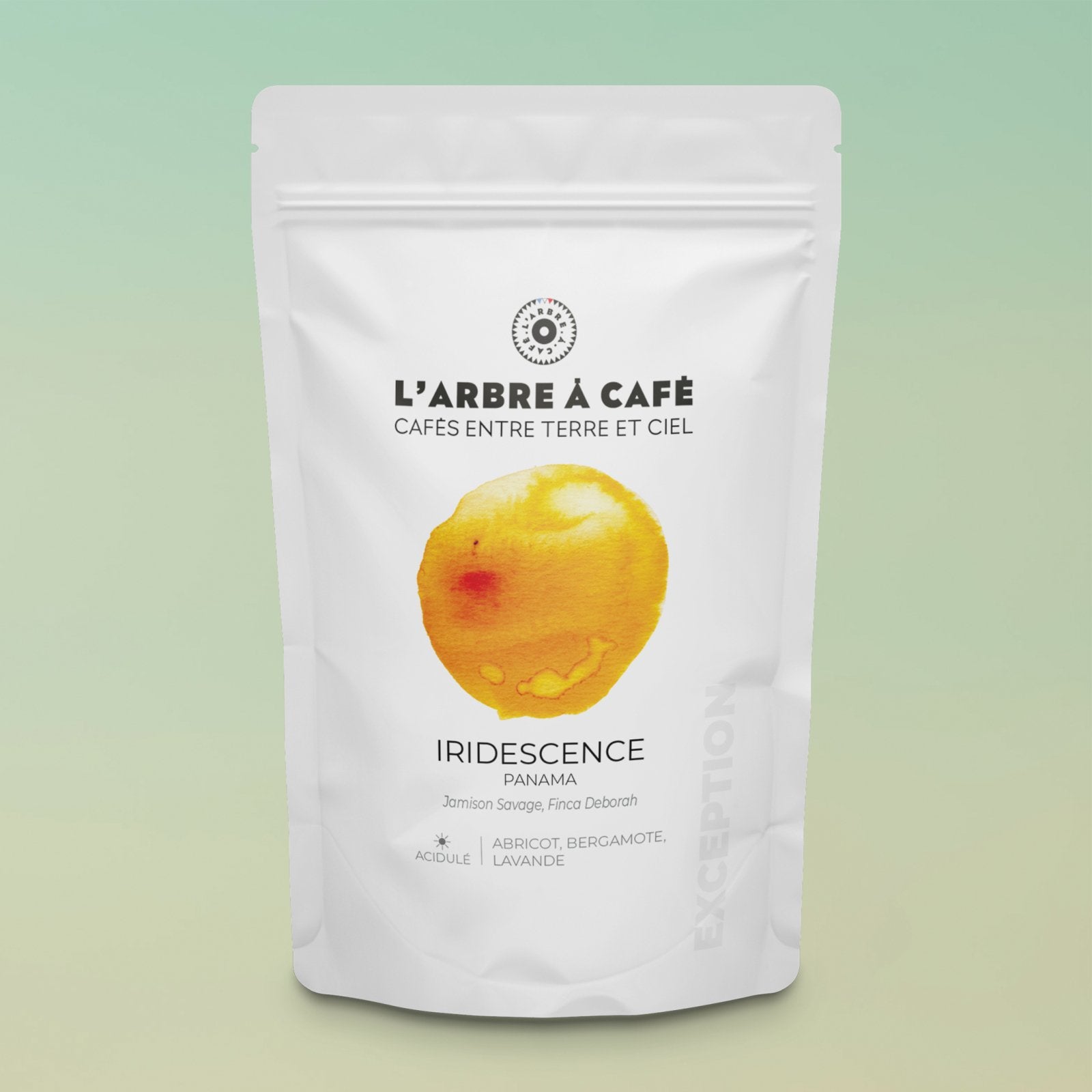 Iridescence - Café - L'Arbre à Café