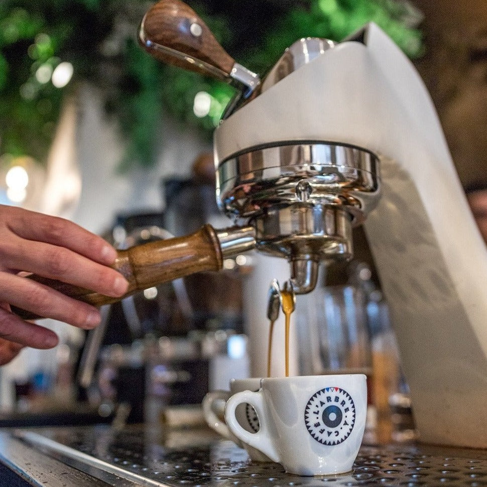 Formation café : Réussir son espresso - L'Arbre à Café